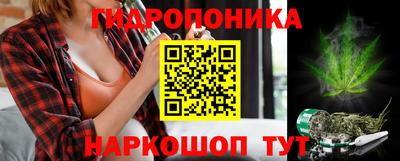 мдпв Кимры