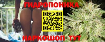 мдпв Кимры