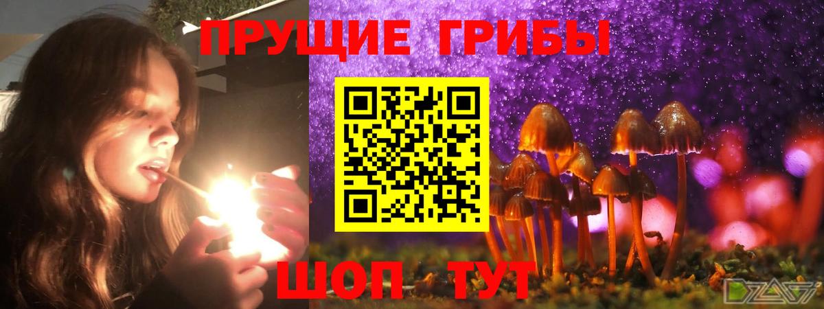 Псилоцибиновые грибы прущие грибы  Галлюциногенные грибы мухоморы  Вход с VPN  Валуйки 