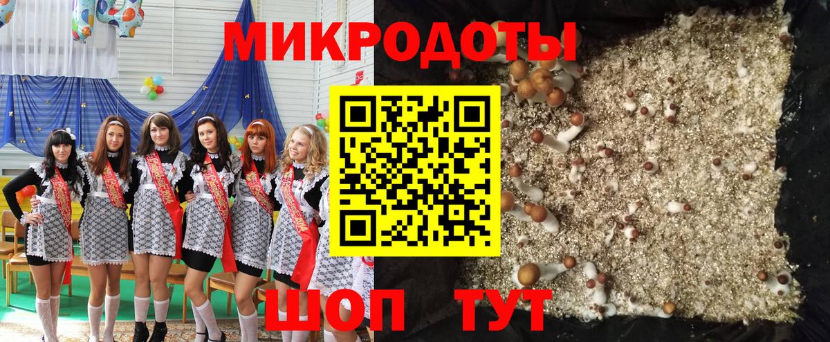 Псилоцибиновые грибы Cubensis Валуйки